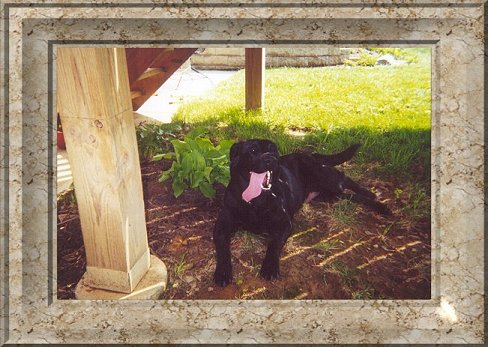 Dottie Relaxing